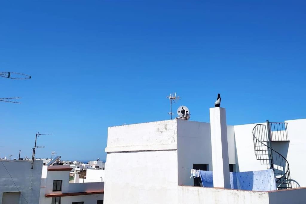 Espectacular Casa Muy Luminosa Con Azotea Lejlighed Conil De La Frontera Eksteriør billede